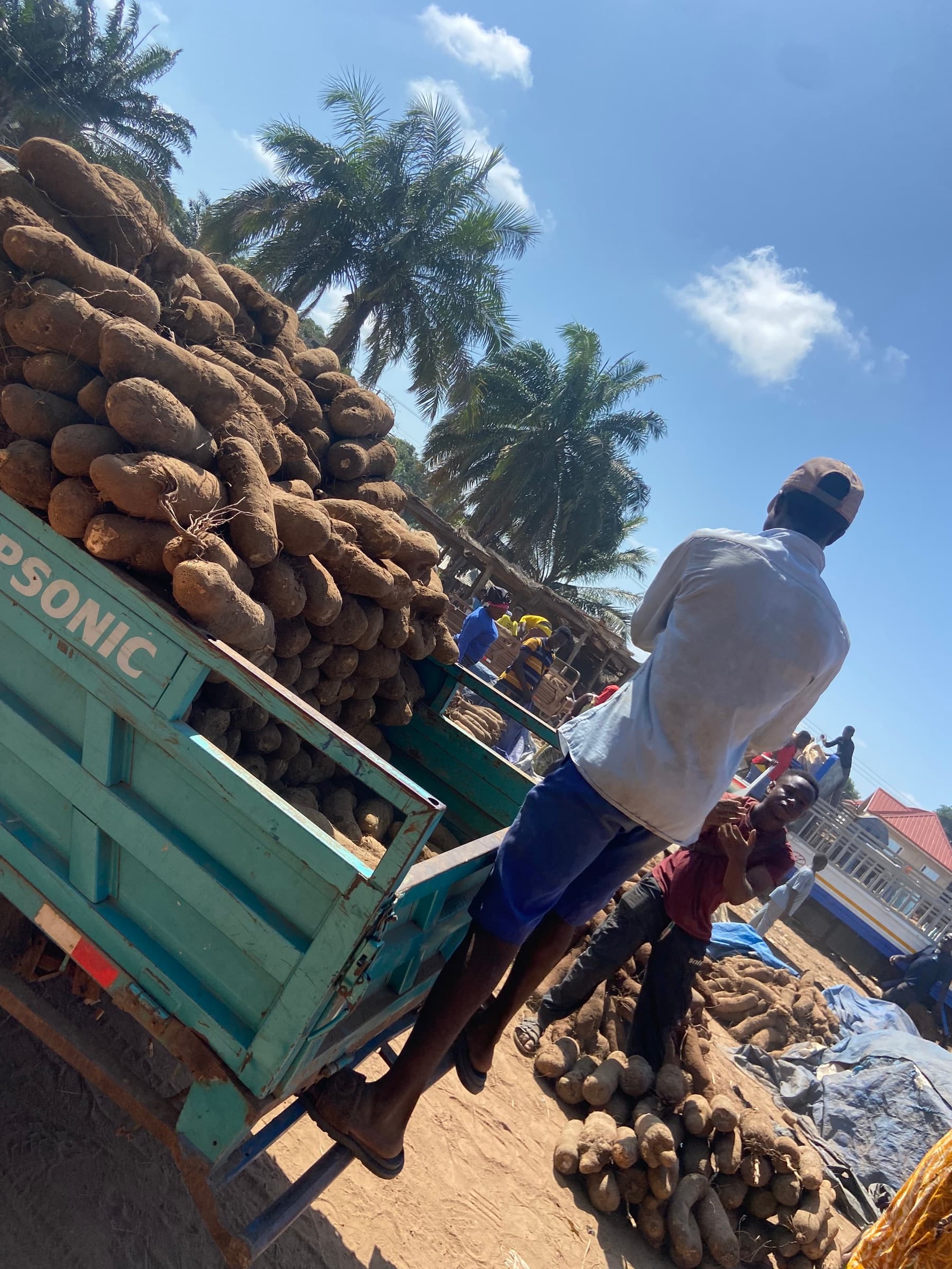 Local Transport