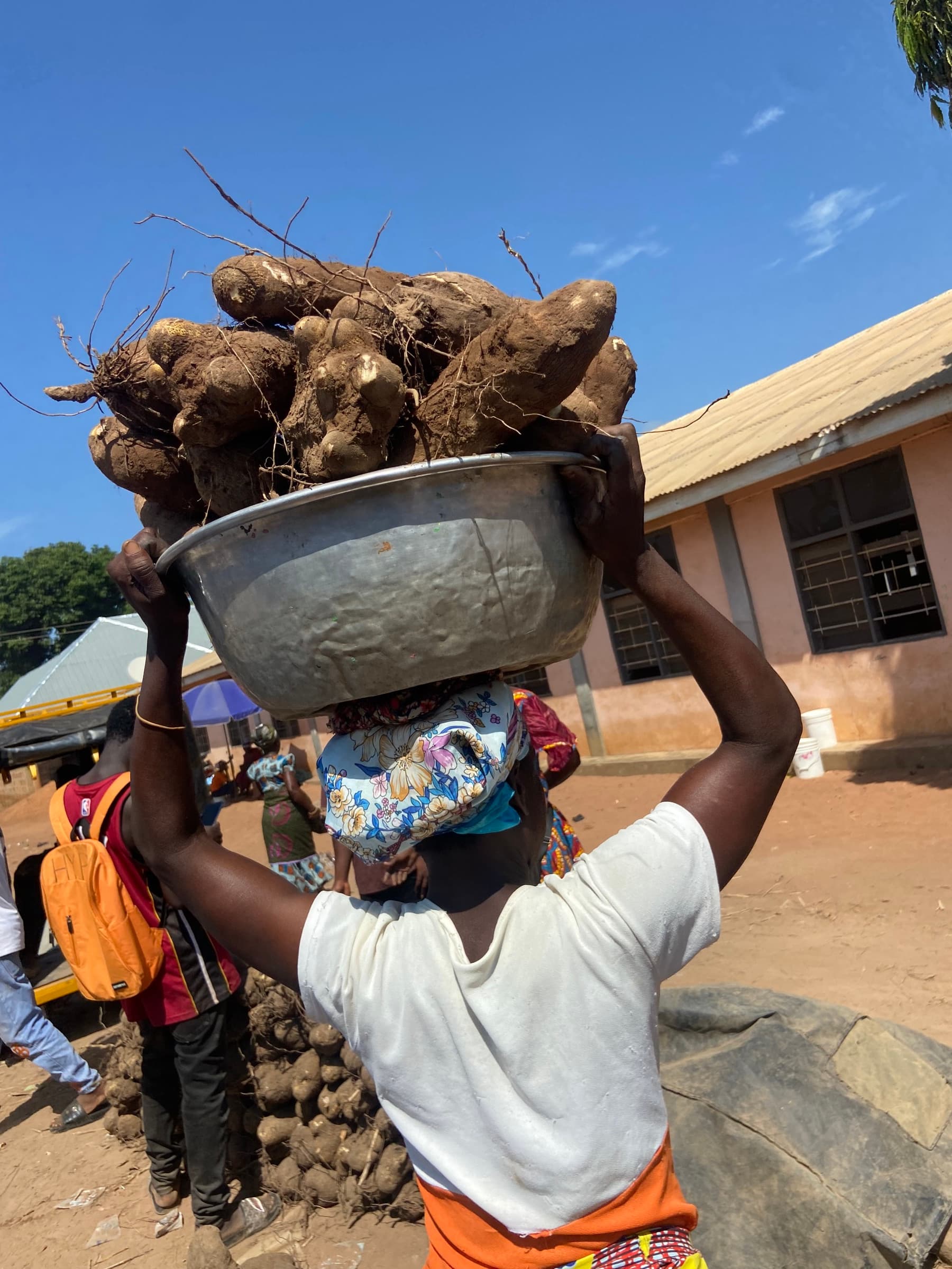 Yam ready for export handling